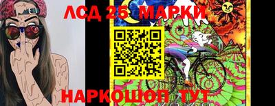 гидропоника Ростов-на-Дону