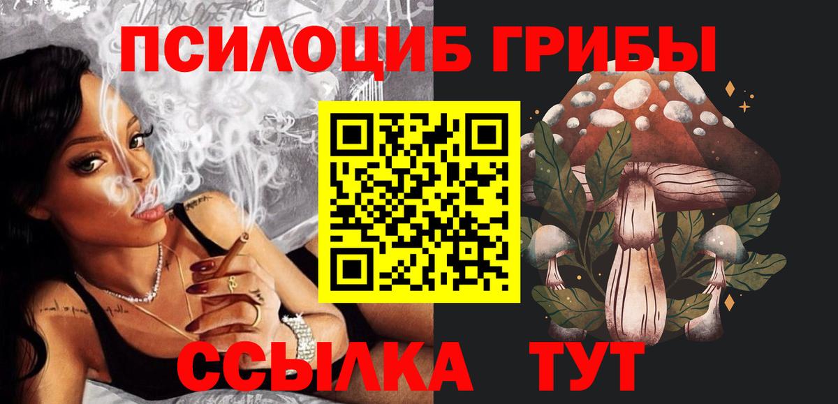 Галлюциногенные грибы MAGIC MUSHROOMS  Псилоцибиновые грибы Cubensis  Вход с VPN  Гудермес 